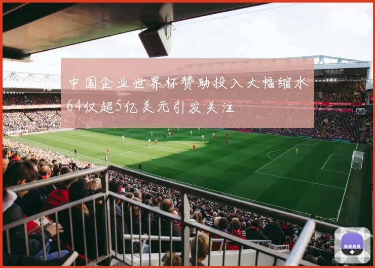 中国企业世界杯赞助投入大幅缩水64仅超5亿美元引发关注