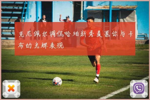 克尼佩尔调侃哈珀新秀羡慕你与卡布的光辉表现